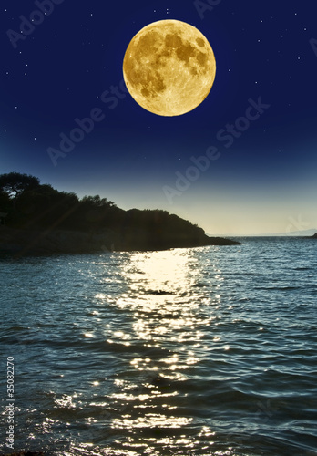 Fototapeta Naklejka Na Ścianę i Meble -  night scenery with the see and the moon