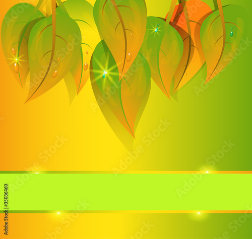 Vector autumn background and  group yellow leaf