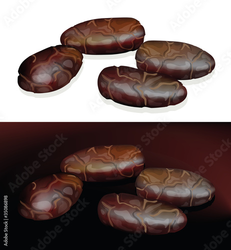 Cacao Beans.