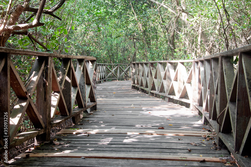 a picture of a road way for walk for people