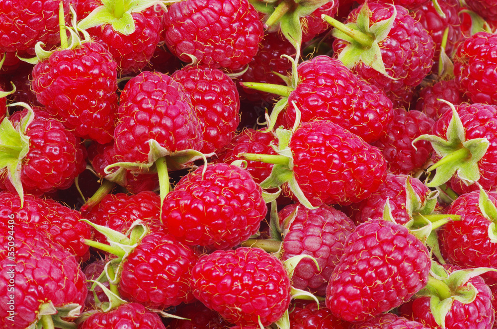 raspberry raspberry