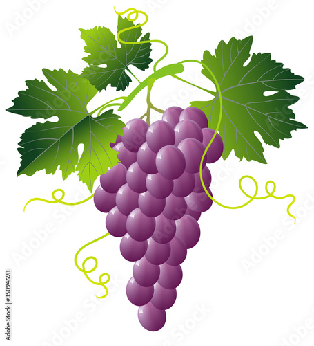 bunch of pink grapes