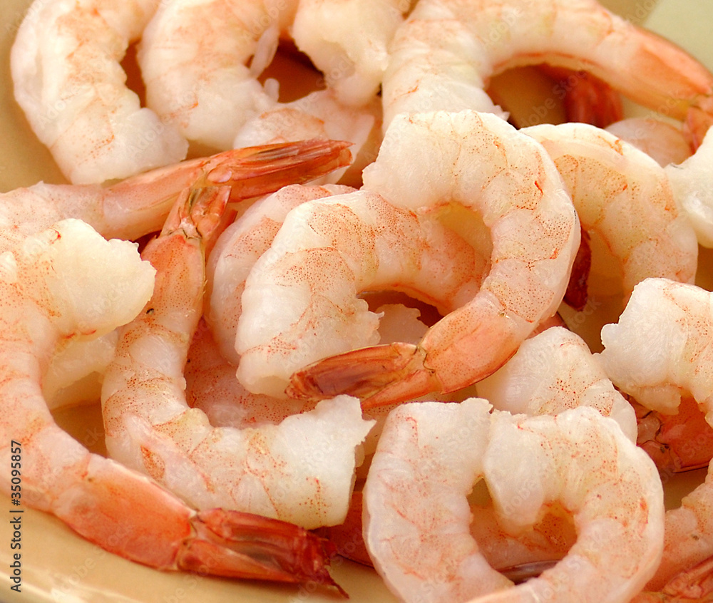 shrimps on a plate shrimps on a plate