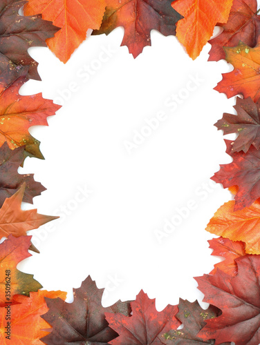 Autumn leaf frame