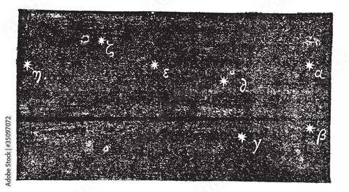 Grande Ourse (Ursa major), vintage engraving