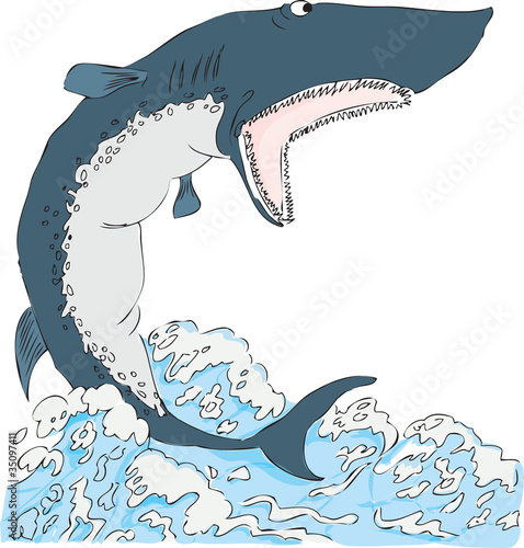 Shark