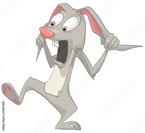 Cartoon Character Rabbit