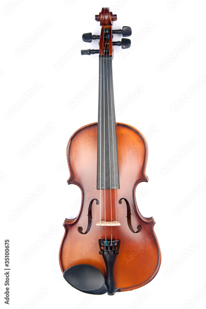 Fototapeta premium violin