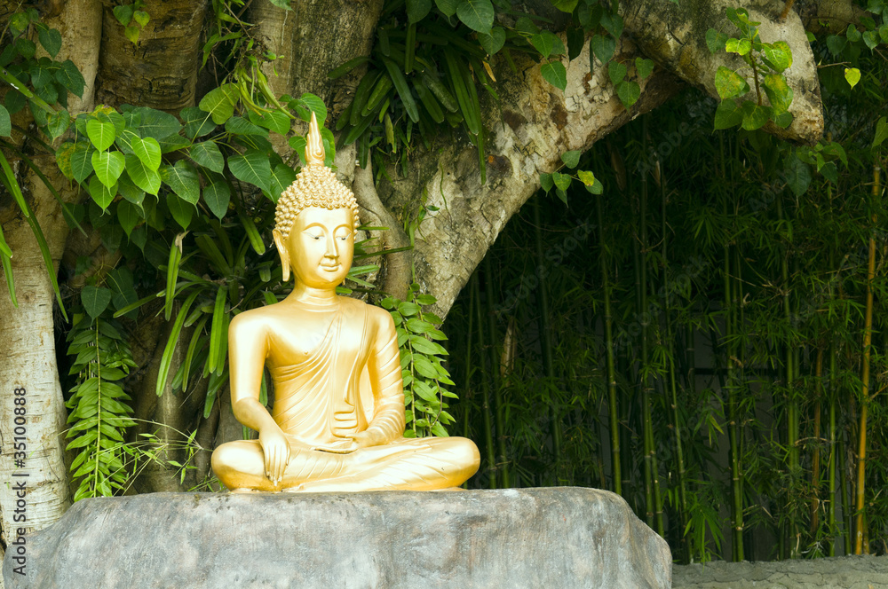Buddha statue under green tree in meditative posture Buddha statue under green tree in meditative posture
