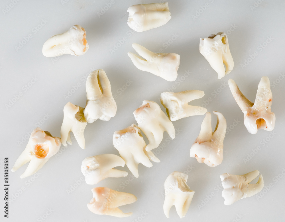remote root human teeth