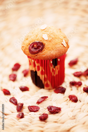 muffins with cranberries photo