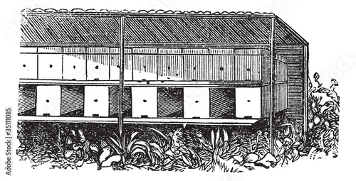 Apiary or Bee yard vintage engraving