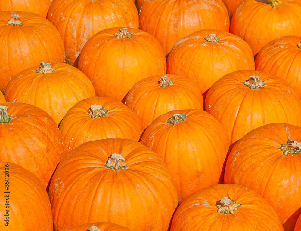 Colorful pumpkins Colorful pumpkins