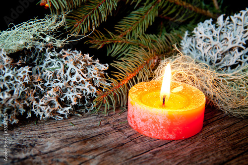 candela arancione con pino photo