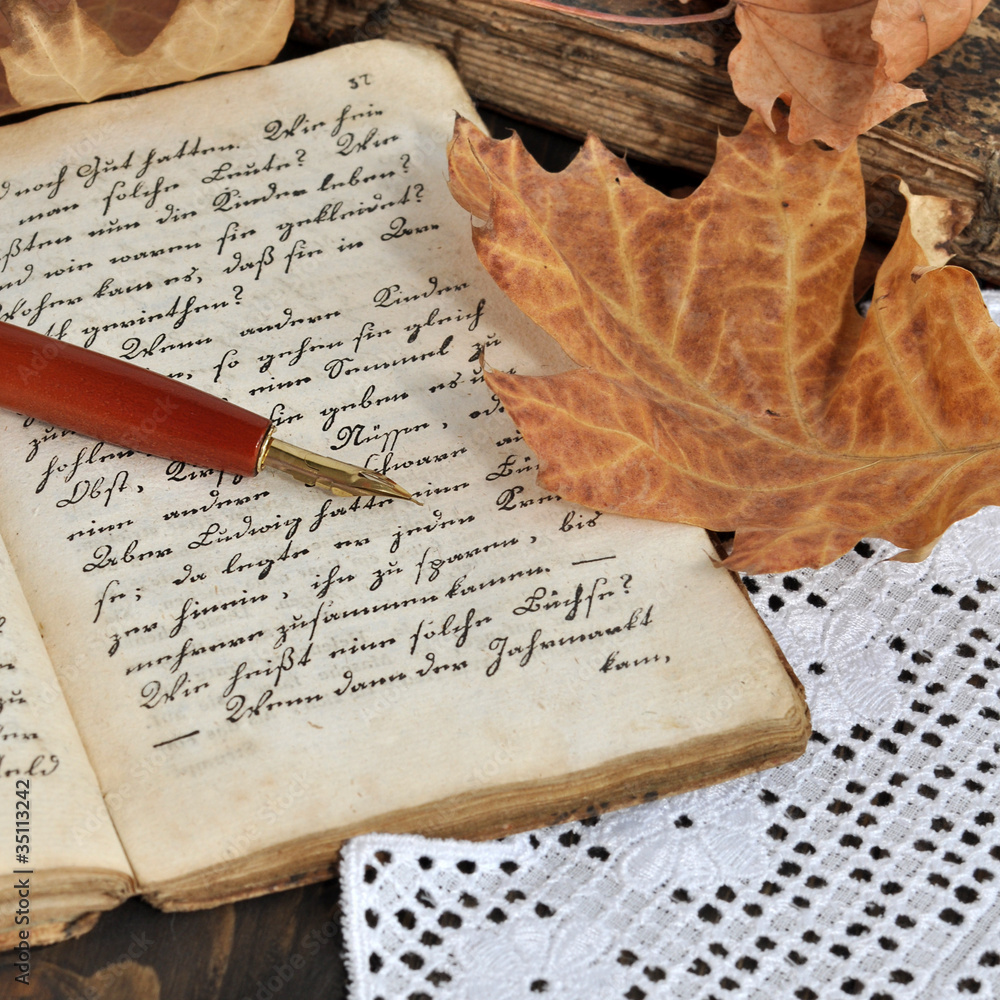Obraz premium Autumn Diary