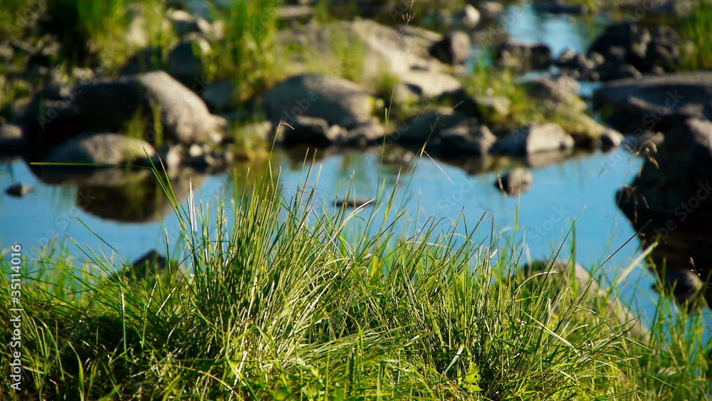 Teletskoe lake, Altai, Russia