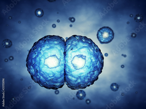 Tableau sur toile Mitosis concept , 3d illustration