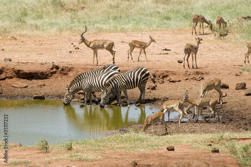 African savannah