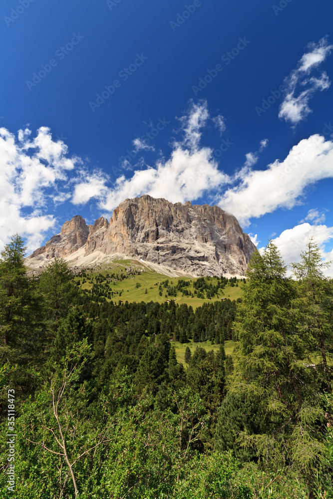 Sassolungo - Langkofel, vertical composition Sassolungo - Langkofel, vertical composition