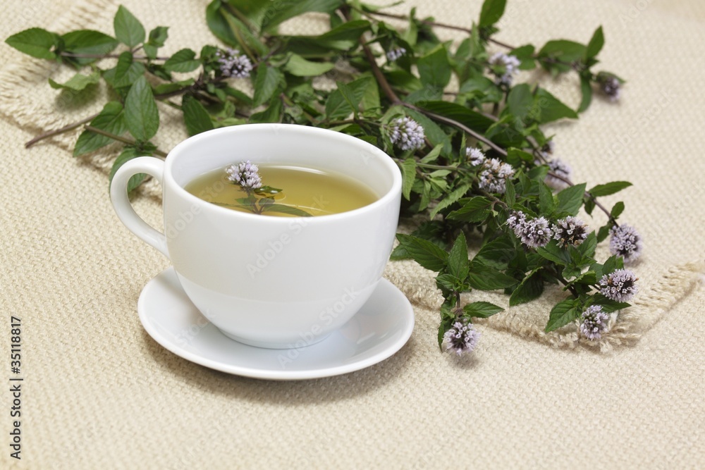 Mint tea /Mentha aquatica/ Mint tea /Mentha aquatica/
