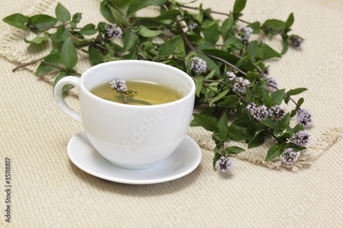 Mint tea /Mentha aquatica/