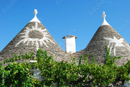 Una visione dei famosi Trulli di Alberobello