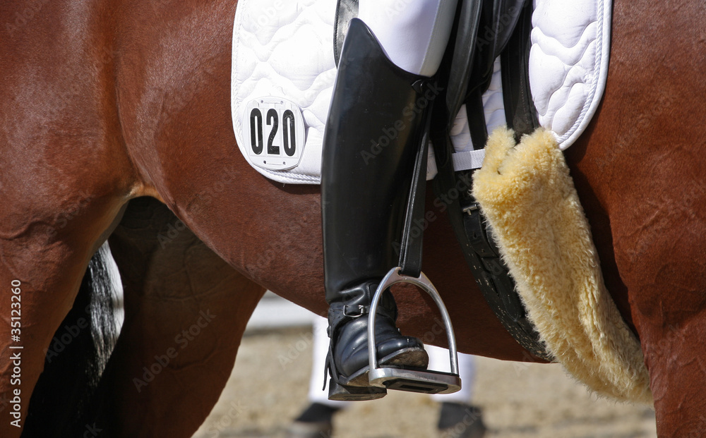 Obraz premium Human leg on horseback