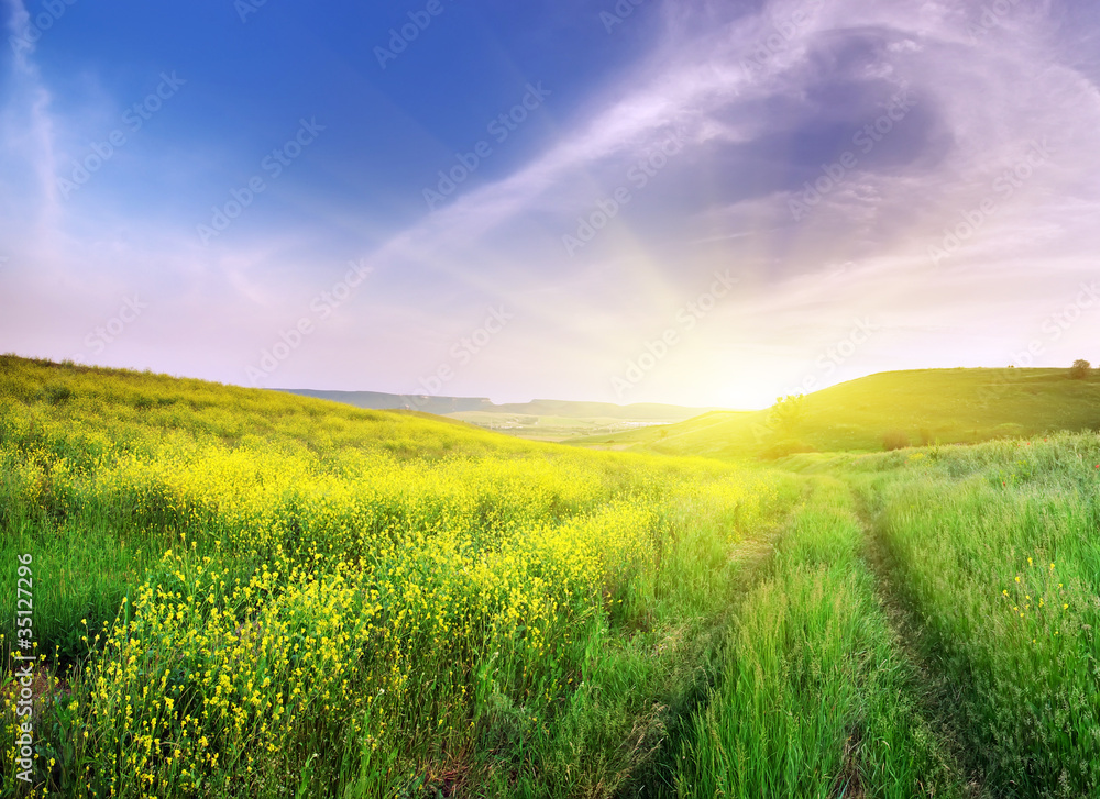 Sundown in mountain meadow