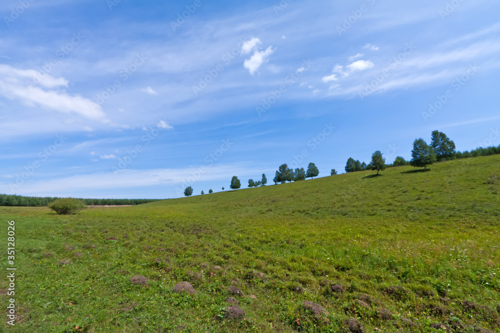 grassland landscape