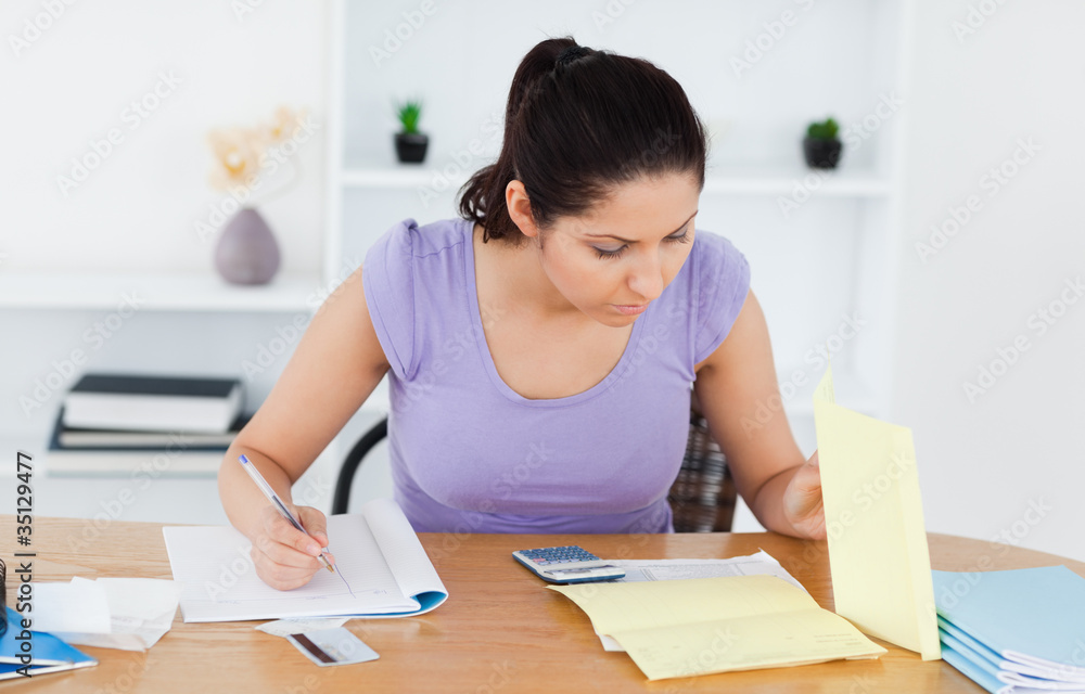 Young woman accounting in living-room Young woman accounting in living-room