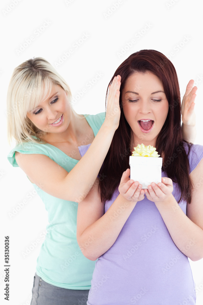 Young woman giving a gift to her friend Young woman giving a gift to her friend