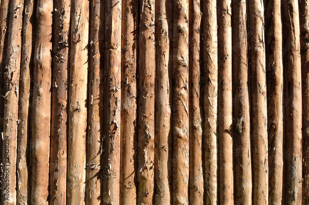 wood texture wood texture