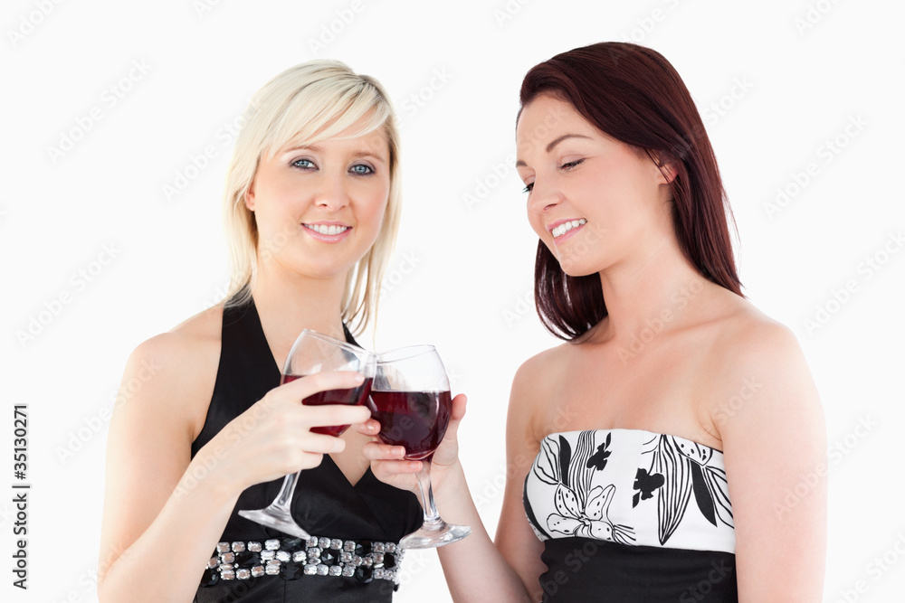 Charming well-dressed women toasting with red wine Charming well-dressed women toasting with red wine