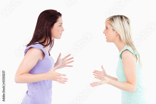Cute women arguing