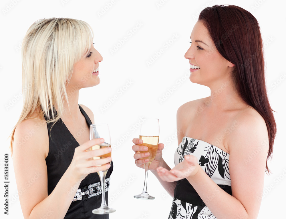 Gorgeous well-dressed women drinking champaign Gorgeous well-dressed women drinking champaign