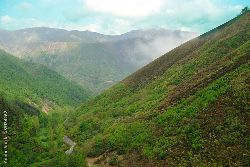 Naklejka premium Valle frondoso