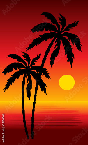 Tropical beach. Sunset. vector, gradient