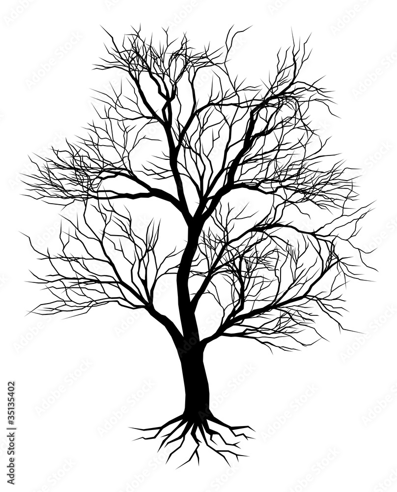 Obraz premium Hand drawn old tree silhouette