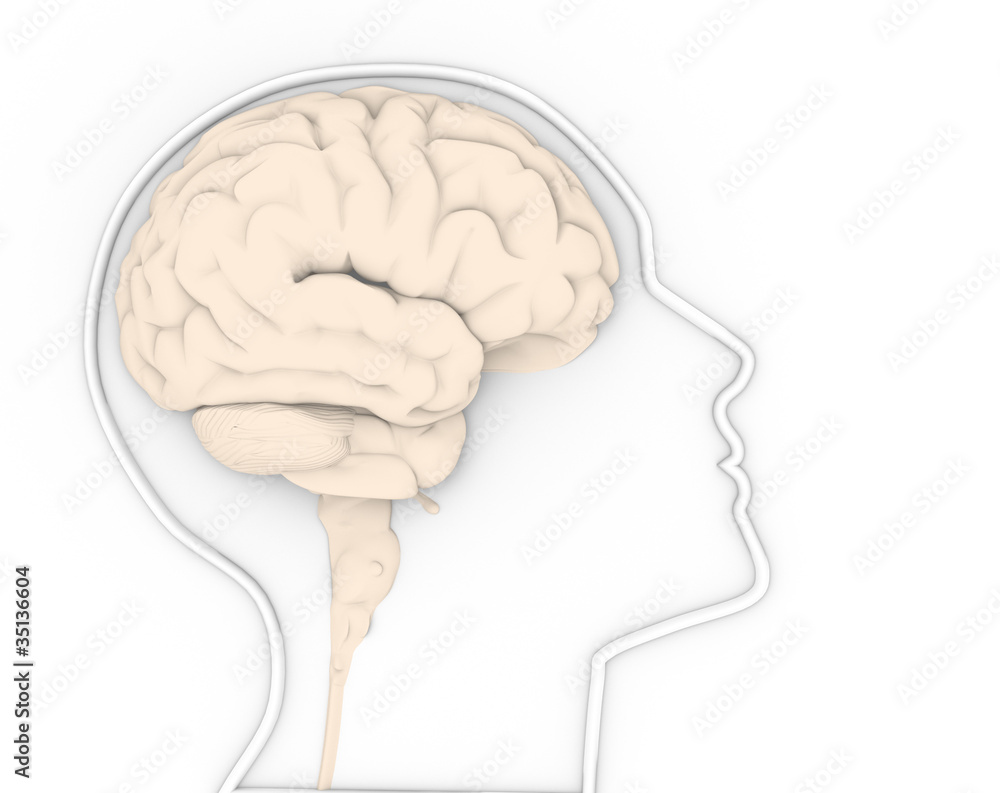 Brain Brain