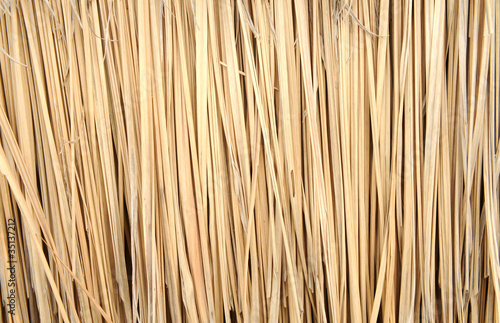 Close up of ground. Texture of straw