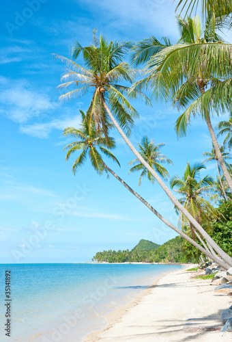 Beautiful tropical beach at Seychelles - vacation background © Andrii Vergeles