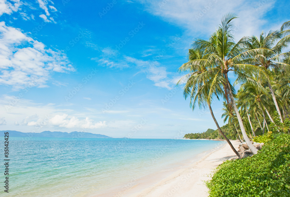 Beautiful tropical beach with coconut palm