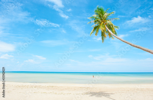 Fototapeta Naklejka Na Ścianę i Meble -  Beautiful beach with palm tree over the sand