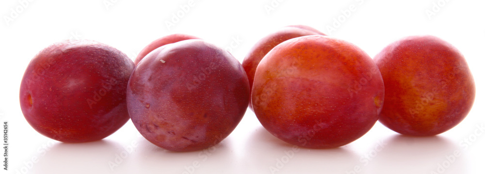 Obraz premium pflaume