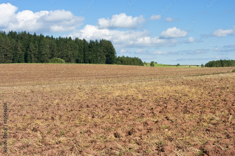 Plowed field near forest