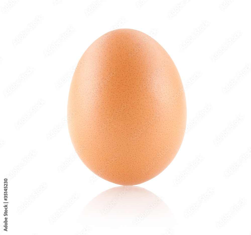 brown egg isolated on white brown egg isolated on white