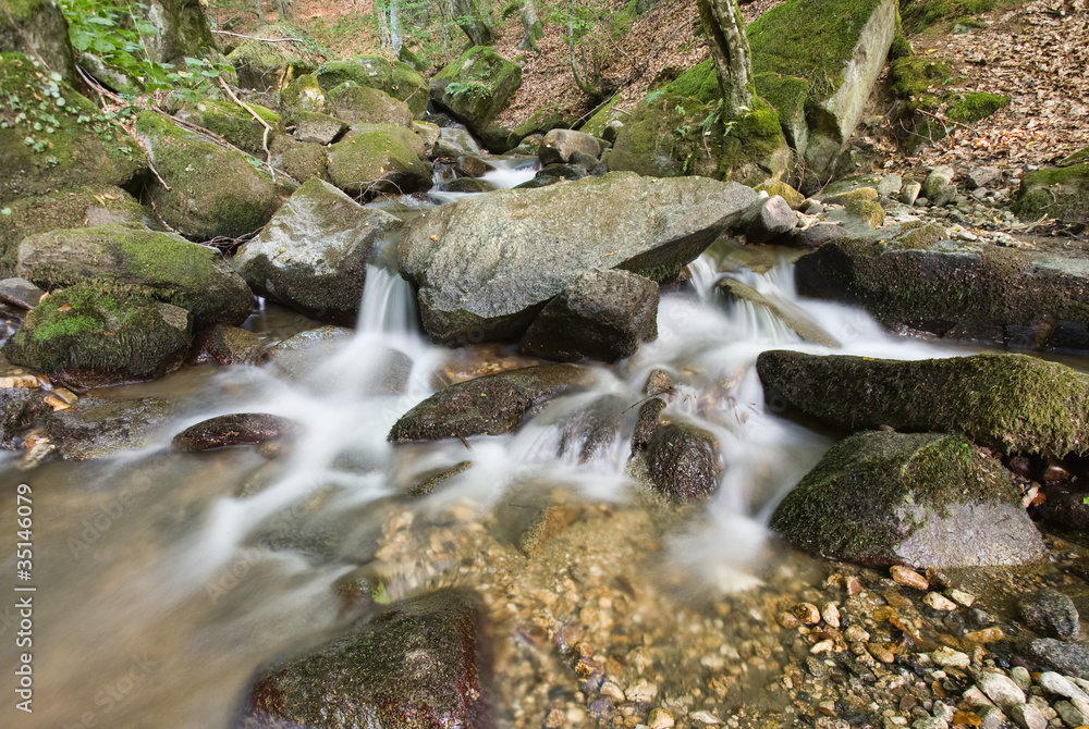 landscape with mountain stream in forest landscape with mountain stream in forest
