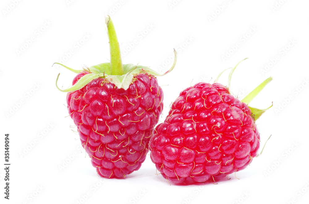 raspberry raspberry