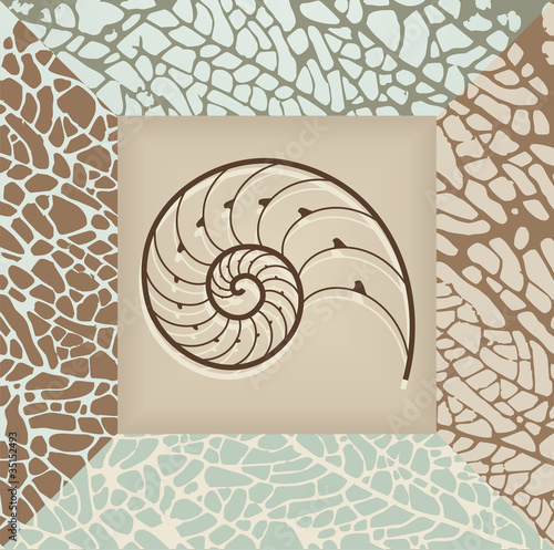Nautilus shell background.