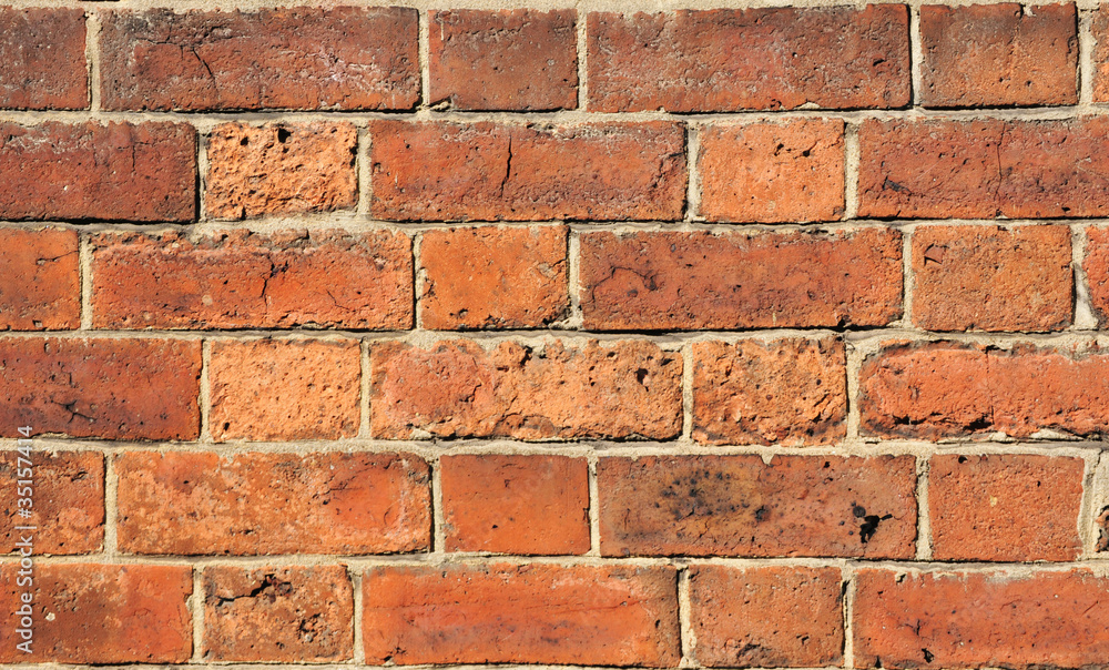 Fototapeta premium Brick wall